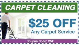 BNK Chem-Dry Carpet Cleaning Offer