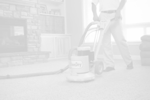 BNK Chem-Dry Organic Carpet Cleaning Product
