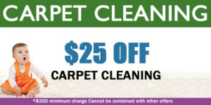 BNK Chem-Dry Carpet Cleaning Special