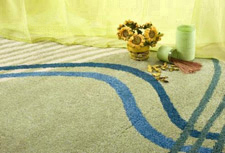 Area Rug Cleaning | BNK Chem-Dry Carpet Cleaning