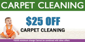 BNK Chem-Dry Carpet Cleaning Coupon in CA