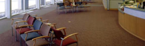 Commercial Carpet Cleaning Near Carlsbad | BNK Chem-Dry